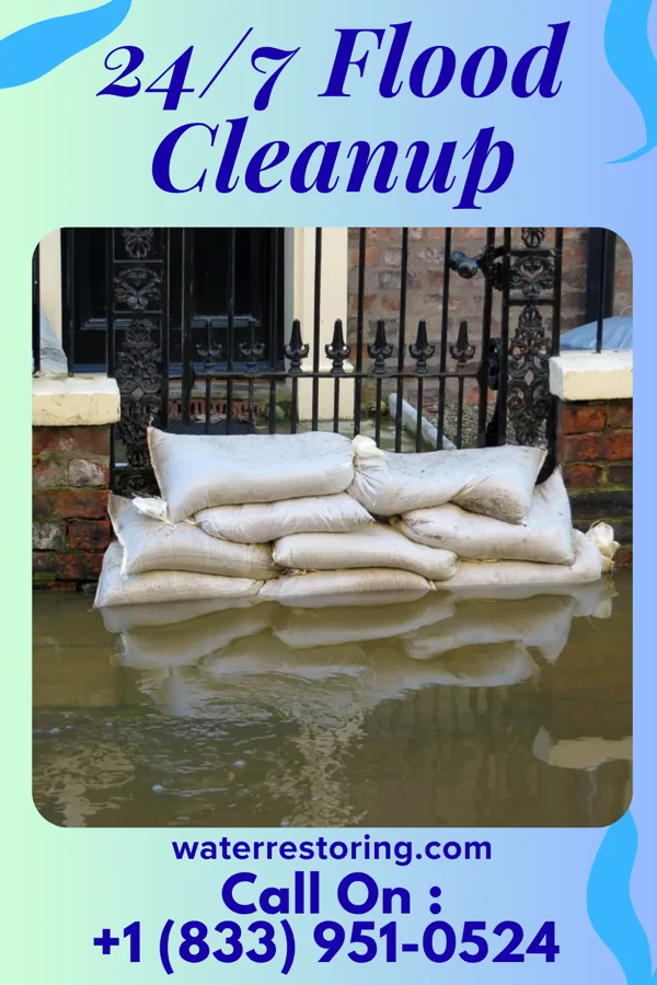24/7 Flood Cleanup in Birdseye, IN