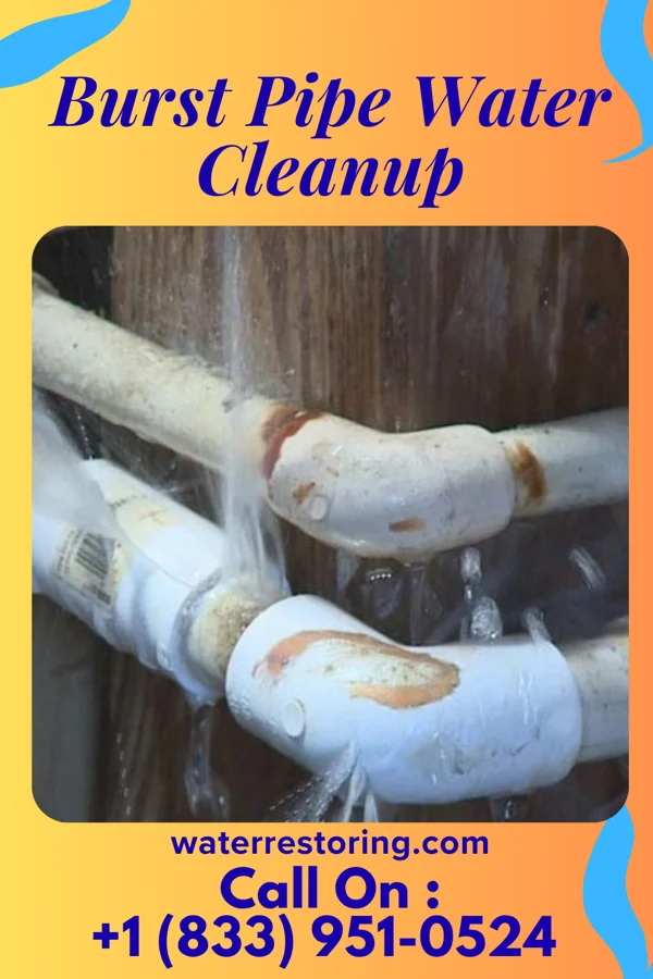 Burst Pipe Water Cleanup in Birdseye, IN
