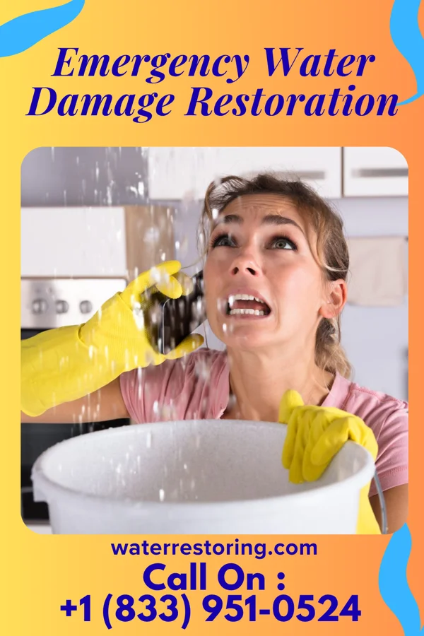 Emergency Water Damage Restoration in Birdseye, IN