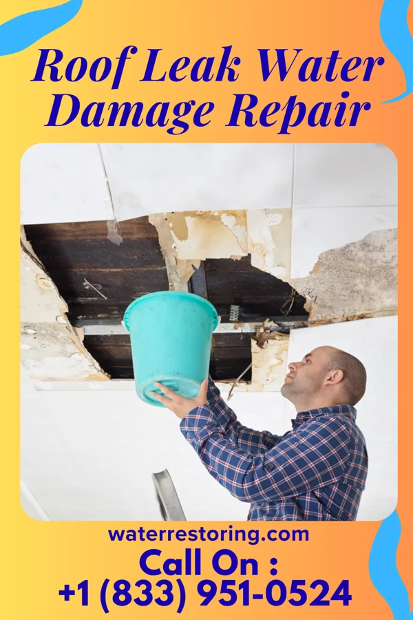 Roof Leak Water Damage Repair in Birdseye, IN
