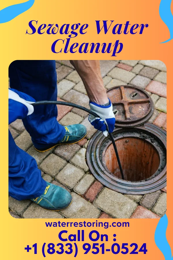 Sewage Water Cleanup in Birdseye, IN